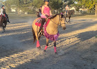 Images Star Ridge Stables