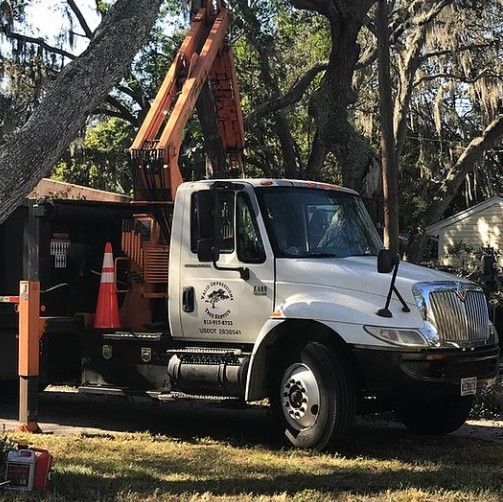 Valid Impressions Tree Service LLC Image