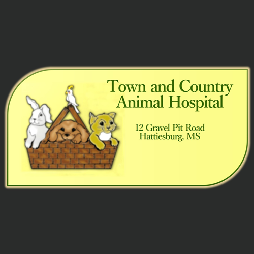 Town & Country Animal Hospital, LLC - Hattiesburg, MS 39402 - (601)261-3839 | ShowMeLocal.com