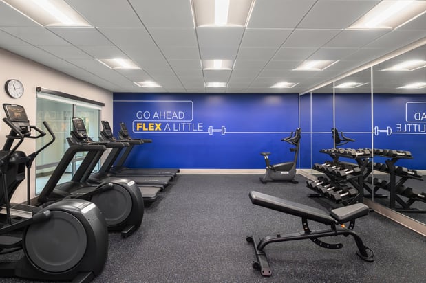 Images Holiday Inn Express & Suites Buford - Mall of Georgia by IHG