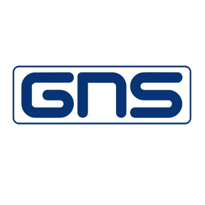 GNS Logistics Logo