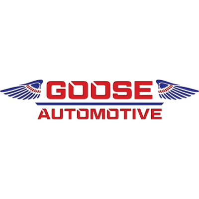 Goose Euro Logo