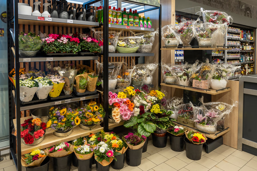 nah&gut-Markt Dalitz-Ziese in Schöningen, Helmstedter Straße 35 in Schöningen