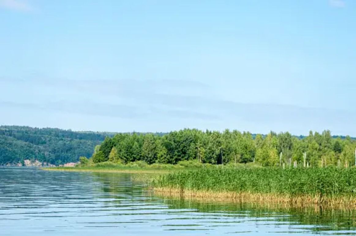 Images Vattenmiljö I Värmland AB