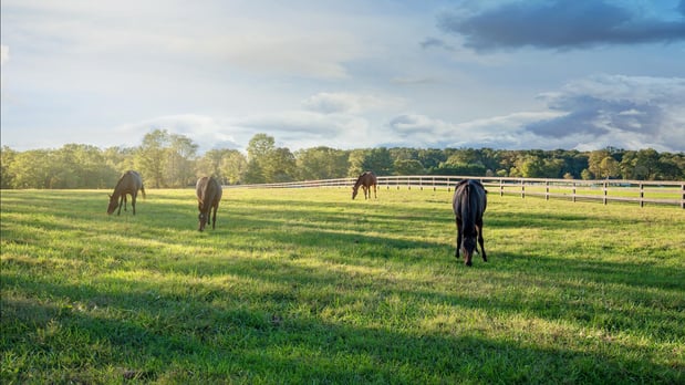 Images Parkside Village