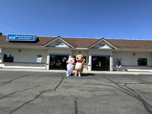 Images VCA Baring Boulevard Animal Hospital