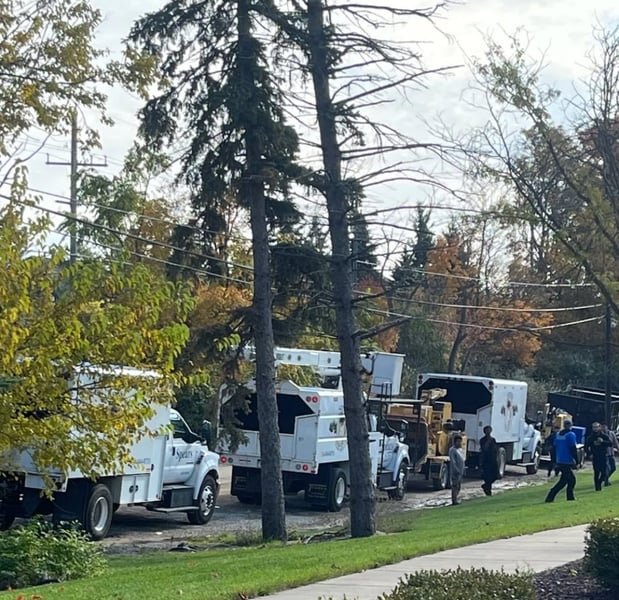 Images Spears Tree Experts Inc.