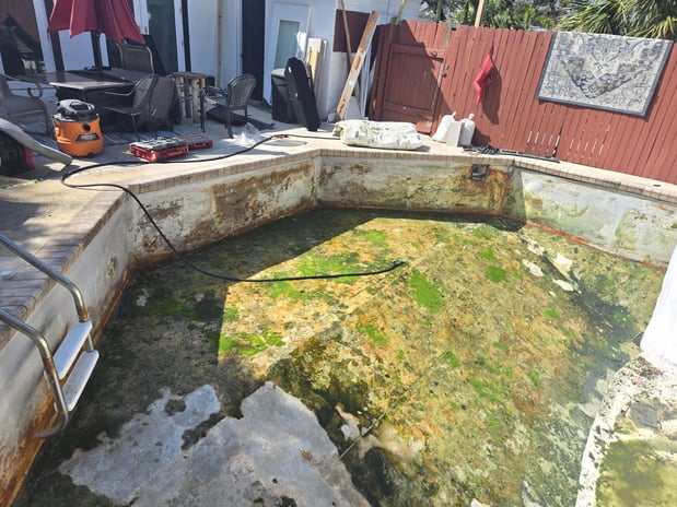 Images Paradise Palm Pools Inc