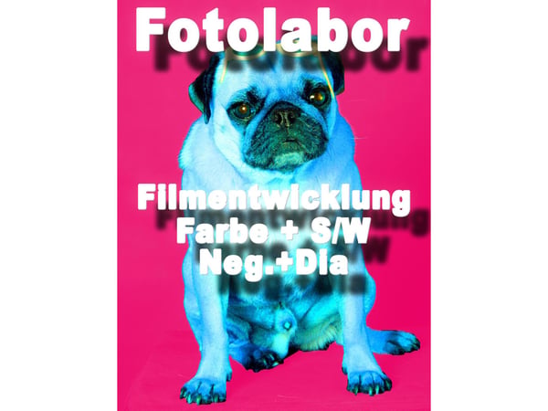 Bilder Foto Fehling Inh. Klaus Fehling