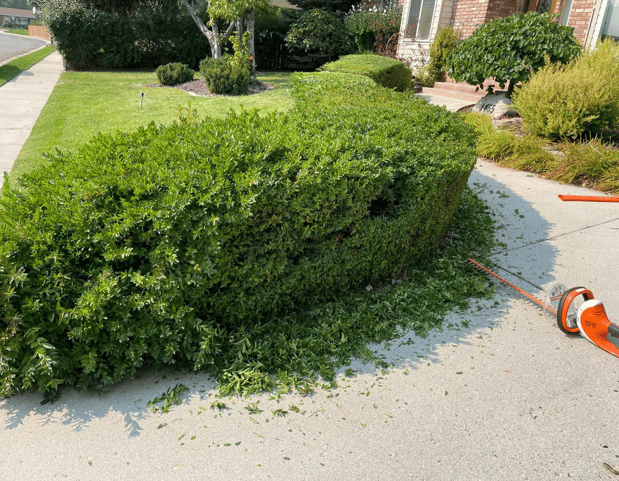 Images A Hernandez Landscaping