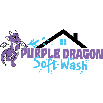 Purple Dragon Soft-Wash Logo