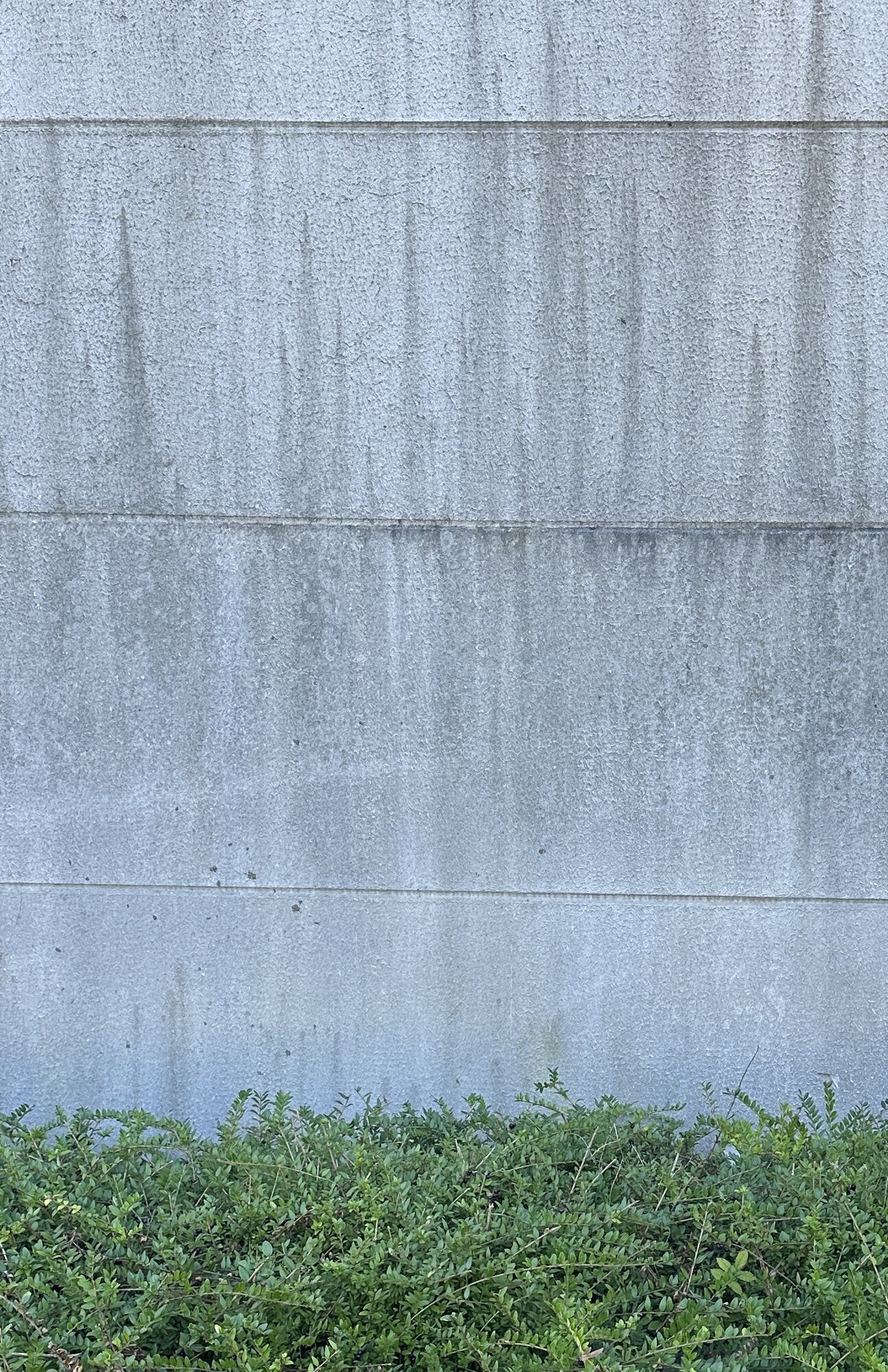 Bilder Hein Fassadenreinigung GmbH