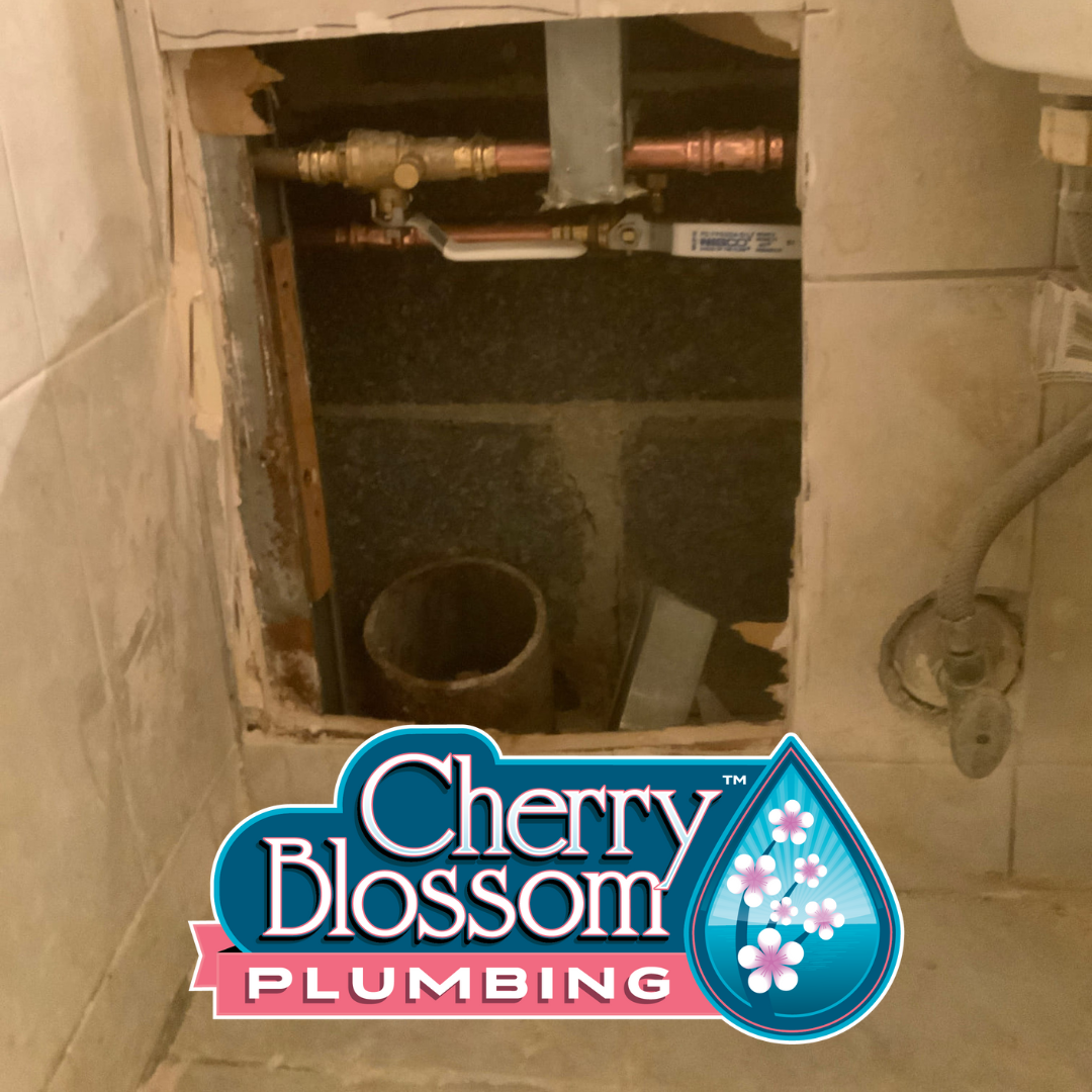 Cherry Blossom Plumbing Image