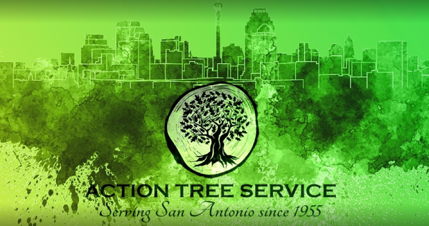 Images Action Tree Service