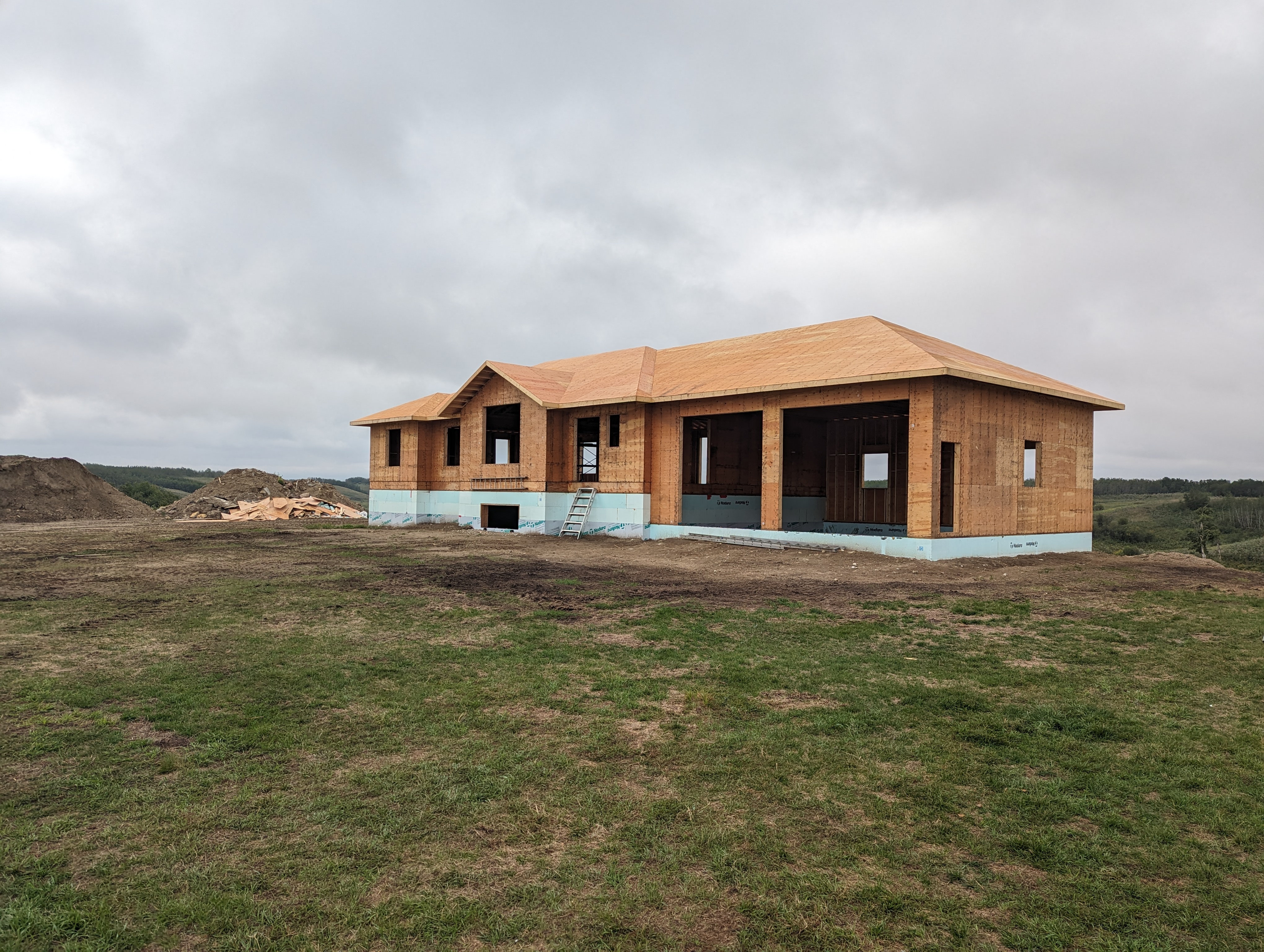Images The Blue Spruce Builder