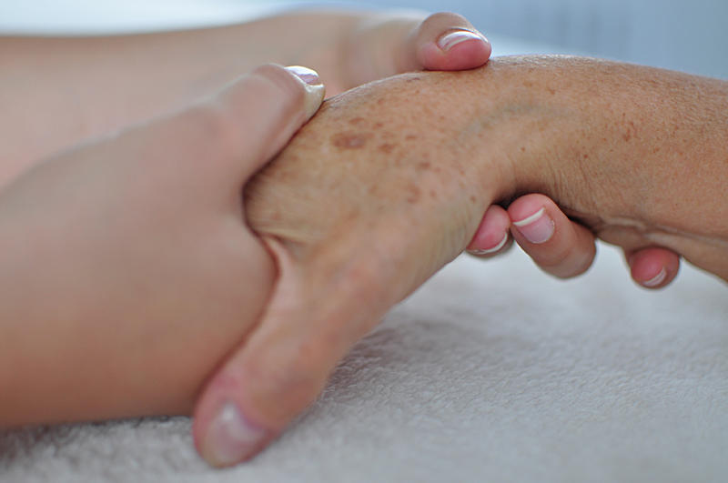 Legler Marion Physiotherapie, Schloßpark 28 in Pirna