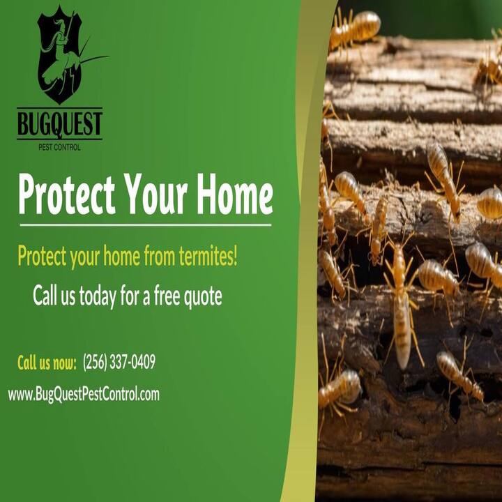 Images BugQuest Pest Control