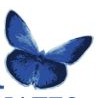 Karner Psychological Associates Logo