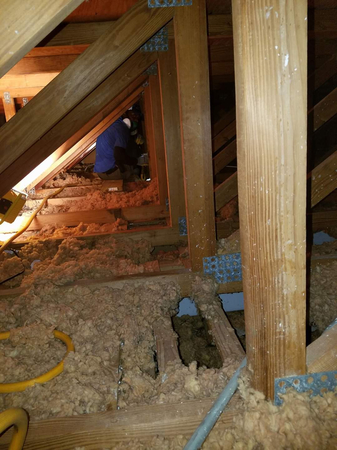 Images Rusty's Exterminators, Inc.