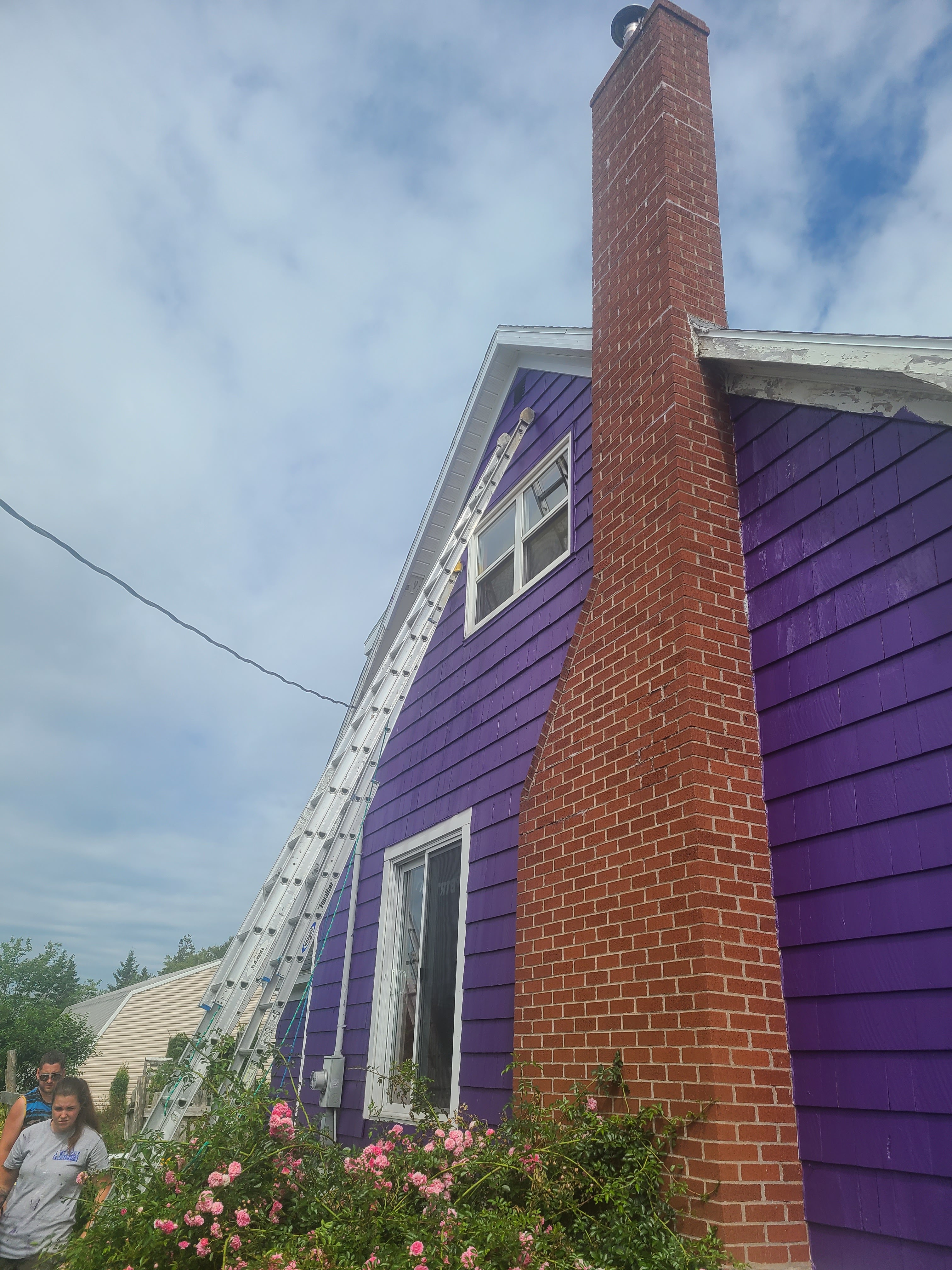 Images Steve's painting and renovations