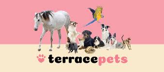 Images VanBlargan German Shepherds