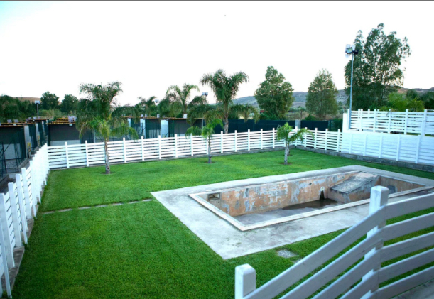 Images Your Dog Resort