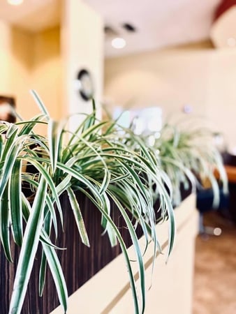 Images Spa On The Boulevard