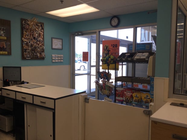Images Petco Grooming