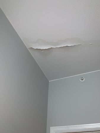 Images Rex Environmental