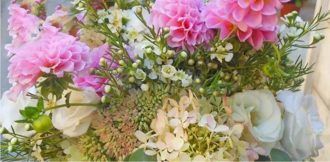 Images Marcella Fiori