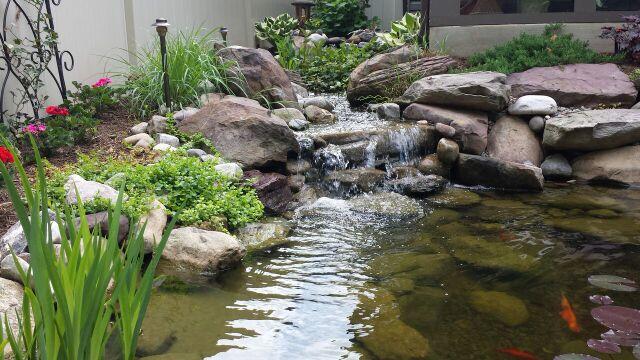 Images Ponds by Bee Landscaping