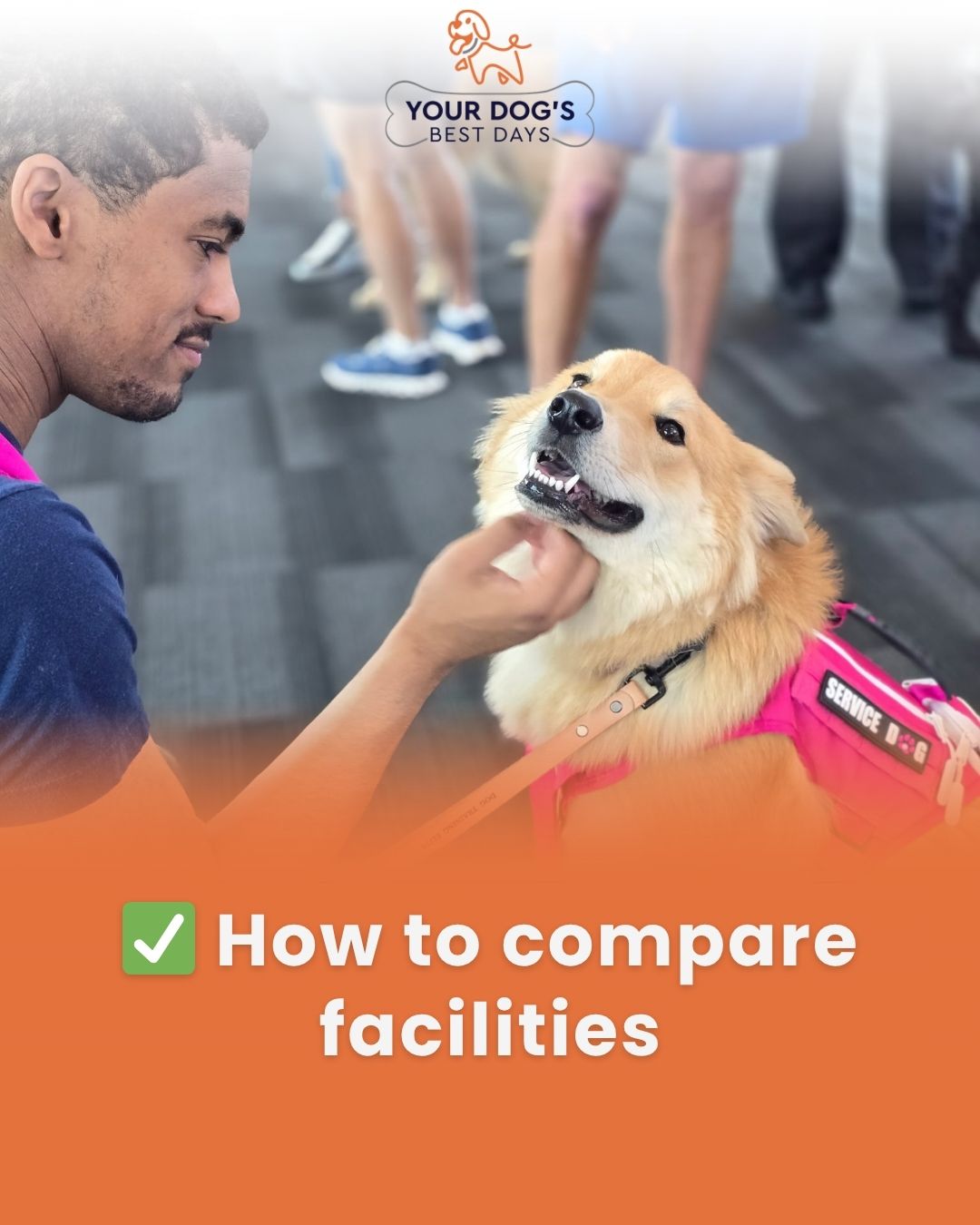 Dog facility comparison photo showing a happy dog with a staff member, encouraging pet owners to compare boarding and daycare facilities before choosing care.