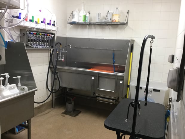 Images Petco Grooming