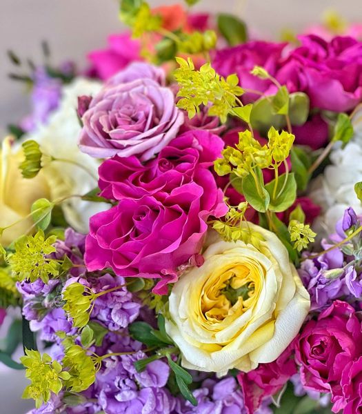 Images Carlos Floral