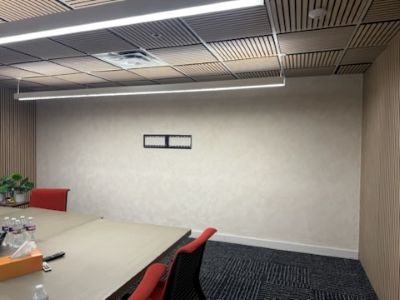 Professional Remodeling Ernesto Painting