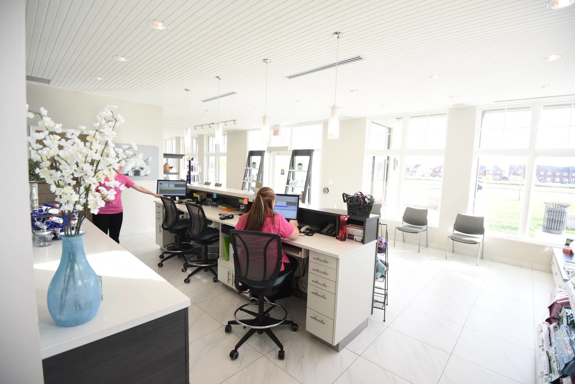 Callbeck Animal Hospital in Whitby, 950 Taunton Rd E Veterinarians in