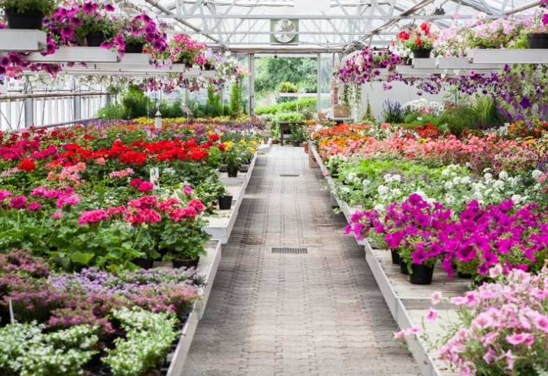 Images Floricoltura Ioriatti