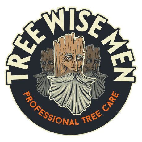 Tree Wise Men - Council Bluffs, IA 51503 - (402)960-6259 | ShowMeLocal.com