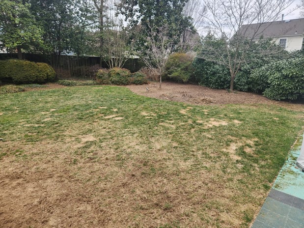 Images Johnson's Landscaping Service