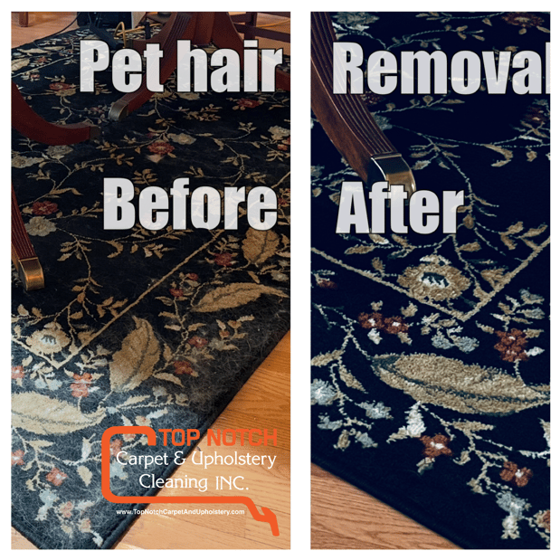 Images Top Notch Carpet And Upholstery Cleaning Inc.