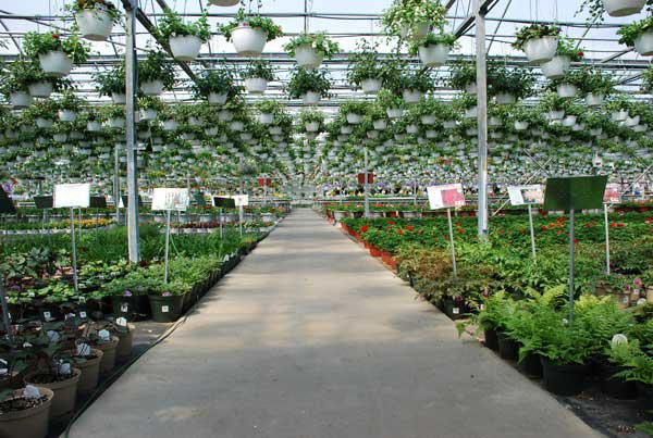 Images Vite Greenhouses