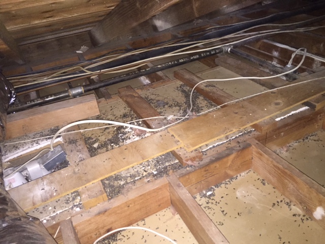 Attic Control