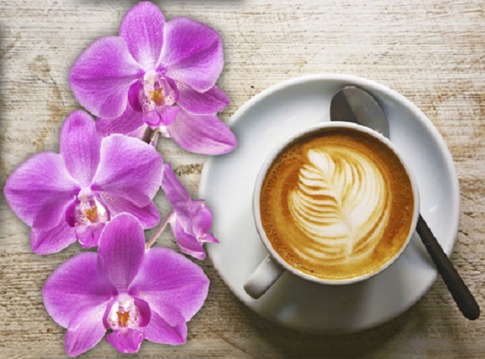 Images Caffetteria Noir