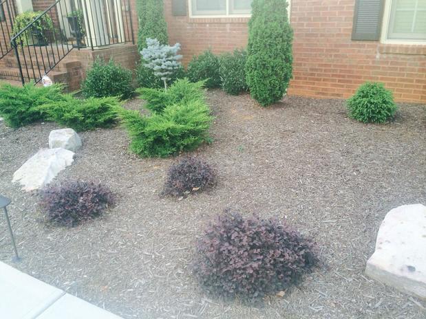 Images L-Chavez Landscaping Services