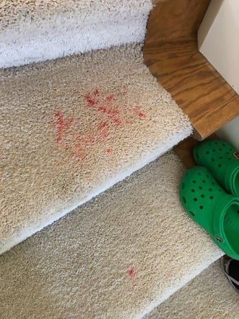 Images Carpet Pro Carpet Cleaning & Dyeing