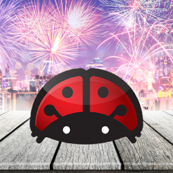 Moneybug