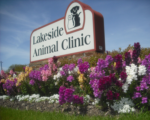 Images Lakeside Animal Clinic
