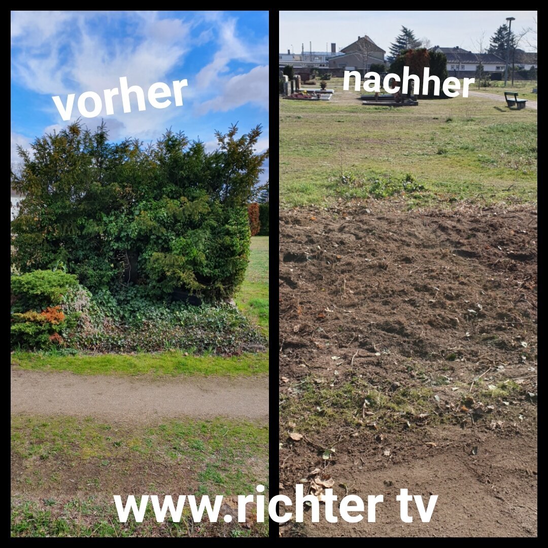 Richter Dienstleistungen GmbH, Trautenfeldstraße 23f in Mannheim