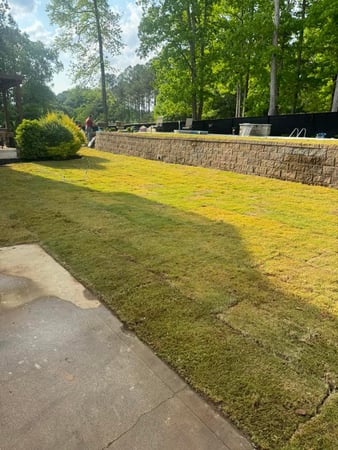 Images Lopez Tree Services and Landscaping