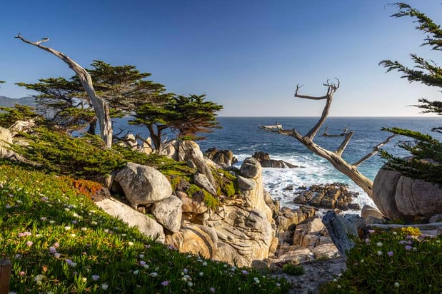Images Home2 Suites by Hilton at the Dunes on Monterey Bay